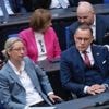 "Bundestag muss den Mut haben": Grüne und Linke wollen AfD von Parteienfinanzierung abschneiden