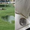 A villa we booked in Portugal was infested with mould, slugs, and ants... why won't Booking.com refund?