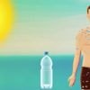 Canicule : quelles sont les conséquences sur l’organisme ?