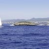 Auf Ibiza festgenommen: Britisches Paar will nach Kreuzfahrt Zeche prellen