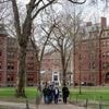 Trump interdit les étudiants étrangers à l’université de Harvard : quels grands noms y ont étudié ?