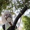 China records more cases of deadly chikungunya virus as country battles 'largest outbreak ever'