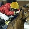 Robin Goodfellow's racing tips: Best bets for Tuesday, July 1