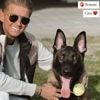 Hond Mart Hoogkamer vermist, gemeente Ede waarschuwt voor drukke zoektocht