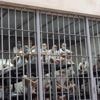 Rights groups sue to free Venezuelans deported from the US and held in El Salvador