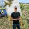‘Keizer van de Wegwijzer’ crasht met Porsche in wijngaard van Edward tijdens rally: “230 wijnstokken vernield”
