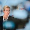 Erstmals seit Mai: AfD erreicht in Wahlumfrage wieder 25 Prozent
