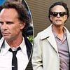 Walton Goggins' receding hairline hailed as 'sexy' by fans... as expert weighs in on what it means for men
