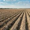 Code oranje voor droogte: waterbedrijven vragen om spaarzaam om te gaan met drinkwater