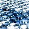 Studie: So stark sind die Gewinne der Autobauer eingebrochen