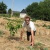 Des mandarines dans le jardin : comment un ingénieur fait pousser des agrumes en Maine-et-Loire