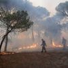 Var : plus de 120 hectares parcourus par un incendie à Pontevès, le feu est fixé