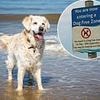 Strict ban across UK beaches that could land you with £1,000 fine… is YOUR nearest on the list?