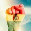 Finalmente, las elecciones del Bicentenario
