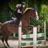 Valpartijen, schotwonden en zelfs de dood: paarden en royals zijn niet altijd een gouden combinatie