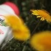 Bayer verhoogt verwachtingen ondanks miljardenclaims in Roundup-zaak
