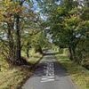 Child fighting for their life after two-car crash that also left woman and another youngster seriously hurt - as man is arrested for 'drink driving'