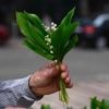 1er-Mai : les règles à respecter pour vendre du muguet