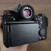 Panasonic Lumix S1RII im Check