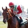 Jockey-Star reitet bei Comeback in Hoppegarten: Andrasch Starke hat in Japan Lebenstraum erfüllt
