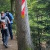 VIDÉO. "Il est placé le plus tard possible" : le défi du balisage d'un parcours de trail