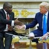 Trump reizt mit Genozid-Vorwurf: Südafrikanischer Präsident entgeht der Selenskyj-Falle