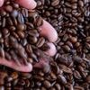 Einzelhandel: Marktforscher: Kaffee verliert junge Käufer