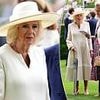 Queen Camilla is elegant in an all-white ensemble as she attends the King George Racing Weekend at Ascot solo