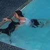 Heart-stopping moment dog owner jumps into pool to save clumsy pooch TWICE: 'No survival instincts'