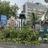 Orages : entre 500 et 1 000 arbres "sévèrement touchés" à Paris où plusieurs parcs restent fermés "jusqu'à nouvel ordre"
