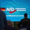 Gesichert rechtsextremistisch: Behörde: Brandenburger AfD verstößt gegen Menschenwürde und Verfassung