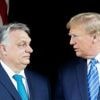 Ist Budapest der favorisierte Ort?: Trump spricht mit Orban über möglichen Putin-Selenskyj-Gipfel in Ungarn