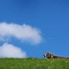 Schön, aber bedenklich: Der April endet viel zu trocken - der Mai startet sonnig