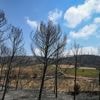L'incendie dans le massif des Corbières, dans l'Aude, est éteint, annonce la préfecture