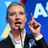 Anti-immigrant Alternative for Germany sues after spy agency labels it an extremist party