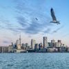 Toronto hoch zehn: Die Top-Ten-Tipps eines Teilzeit-Kanadiers