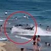 Close call! Moment out-of-control jet ski nearly mows down beachgoers on Costa del Sol beach