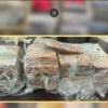 Roissy : des dizaines de kilos de cocaïne saisis