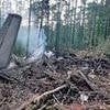 Passengers on doomed Russian plane film 'fumes' in the cabin and mock the 50-year-old aircraft for being 'so old' - before it plunged into a forest killing all 49 on board