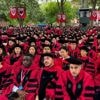 Voor deze Nederlanders spat de Harvard-droom uiteen