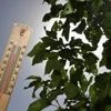 Avec 5,4 °C relevés dimanche matin, la ville la plus fraîche de France était… bretonne