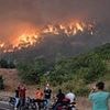 Turkey wildfires kill at least 10 and injure 14 others 'after wind suddenly changed' as infernos continue to burn across country