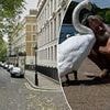 Billionaires' Row 'tramp', 57, banned from Hyde Park over his 'swan whispering' after he rammed a woman with his bicycle who filmed him 'stroking, cuddling and kissing' the birds