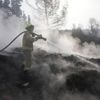 Several countries sending firefighting planes to Israel to help tackle major wildfire