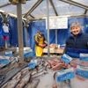 Près de Caen, ce marché aux poissons régale tous les jours les estivants
