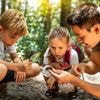 Vlaamse overheid zoekt ‘natuurbingers’ om deze week planten en dieren te spotten in tuinen, parken en bossen