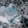Onderzoekers slaan alarm: toename toeristen en wetenschappelijke activiteiten op Antarctica doen sneeuw sneller smelten