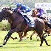 Großer Preis von Berlin im Galopp: Rebel’s Romance ist der Hingucker in Hoppegarten
