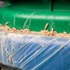 Madenplaag in je groencontainer? Zo maak je er komaf mee