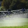Loi agricole : qu’est-ce que l’acétamipride, l’insecticide au centre des débats ?